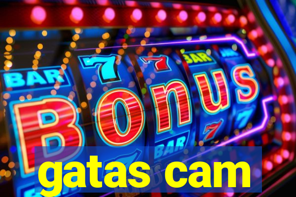 gatas cam